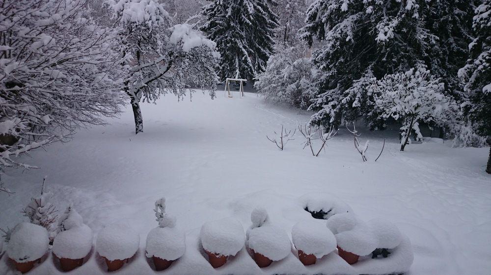 A La Grenouille Guest house 3*